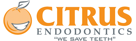 Link to CITRUS ENDODONTICS OF TAMPA  home page